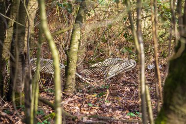 Eski Ratan güvertesi koltuğu çalıların arasında yatıyor.