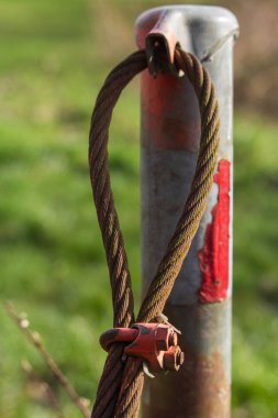 Eski bir bariyerin paslı, eski çelik kablosu yosun ile kaplıydı.
