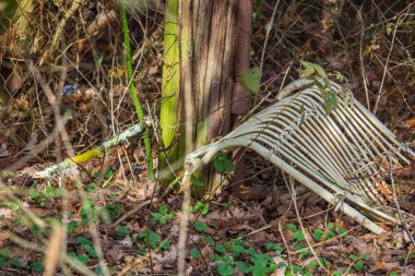 Eski Ratan güvertesi koltuğu çalıların arasında yatıyor.