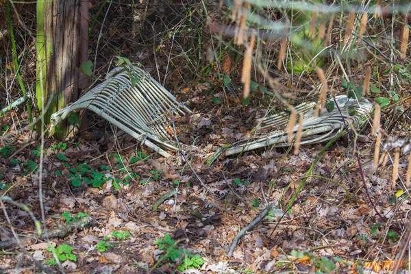 Eski Ratan güvertesi koltuğu çalıların arasında yatıyor.