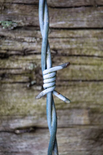 Close Piece Barbed Wire Foreground Old Wood Background — Stock Photo, Image