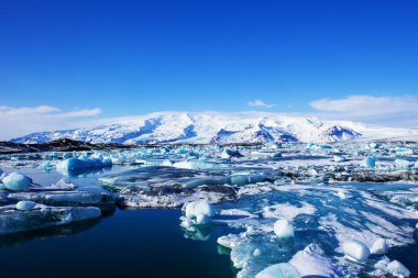 Buz tarlaları, siyah çakıl taşı plajı, İzlanda kıyısı.