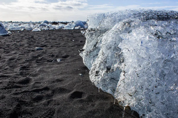 Campos Gelo Praia Seixos Negros Costa Islândia — Fotografia de Stock