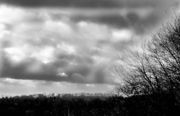 Силуэт Леса Завернутого Туман Грозовыми Тучами — стоковое фото