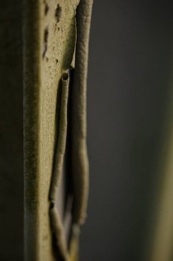 Çelik kirişten eski boya geliyor.