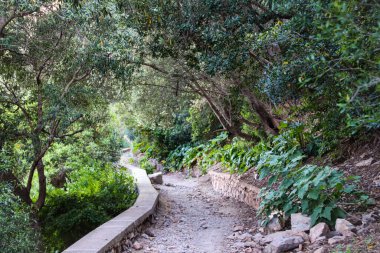 Cezayir, Cezayir 'den Annaba' ya, Akdeniz boyunca.,