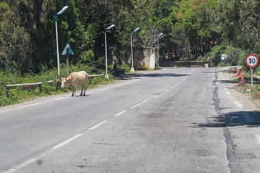 Cezayir, Cezayir 'den Annaba' ya, Akdeniz boyunca.,