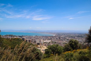 Cezayir, 2019 yazı, Annaba dağlarında.