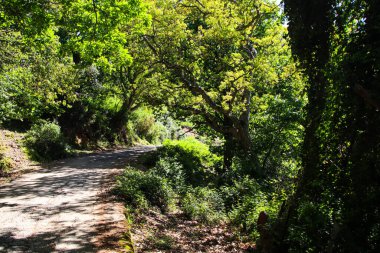 Cezayir, Cezayir 'den Annaba' ya, Akdeniz boyunca.,