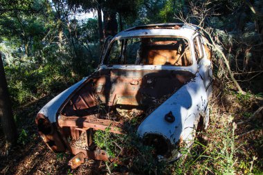 Cezayir, 2019 yazı, Annaba dağlarında.