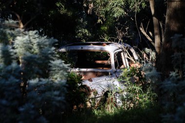 Cezayir, 2019 yazı, Annaba dağlarında.