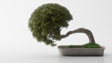 Sade arkaplanda bonsai ağacının gerçekçi 3D çizimi