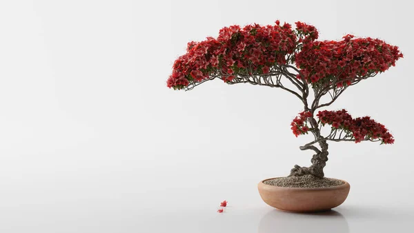 Sade arka planda kırmızı çiçekli bonsai ağacının gerçekçi 3D çizimi