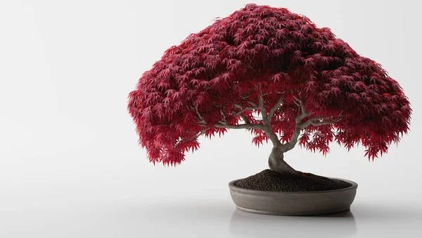 Sade arka planda kırmızı çiçekli bonsai ağacının gerçekçi 3D çizimi