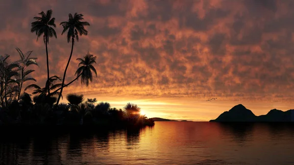 Sceniske Illustrasjoner Naturen Palmer Som Lyser Opp Havet Ved Solnedgang – stockfoto