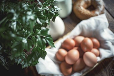 Yumurta, süt, peynir ve ekmek ahşap masada.