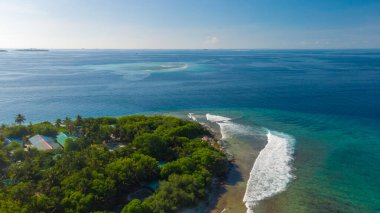 Sörf dalgalarının hava görüntüsü. Maldivler Adasında Sörf Dalgaları.