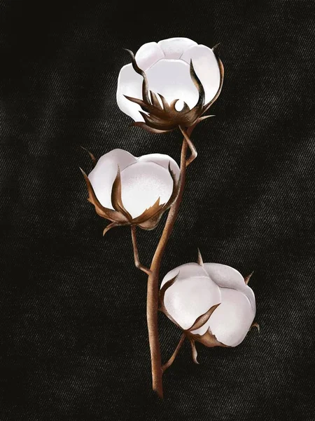 This cotton branch will be a perfect match for elegant prints and wallpapers.