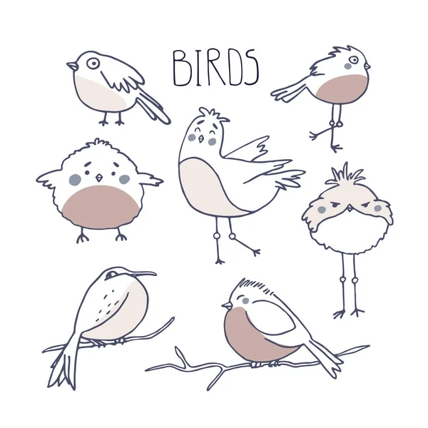 Lindas aves en estilo garabato. Concepto de observación de aves y ornitología — Vector de stock