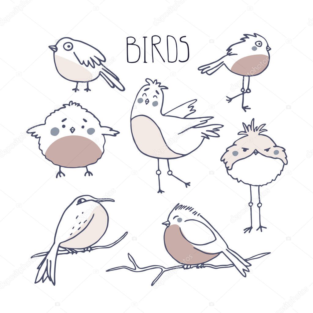 Cute birds in doodle style. Birding and ornithology concept