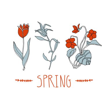 Lale çiçek açmış. El çizimi çiçek açan vektör çizimi karalama stilinde. Harfli klasik botanik çizimi. Antika bitki konsepti. Çıkartmalar, hatıra defterleri, kartlar için mükemmel.