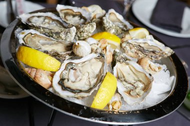 taze organik çiğ istiridye