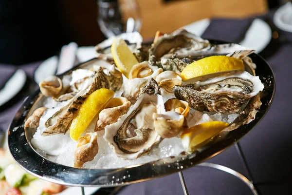 Fresh organic raw oysters — Stock Photo, Image