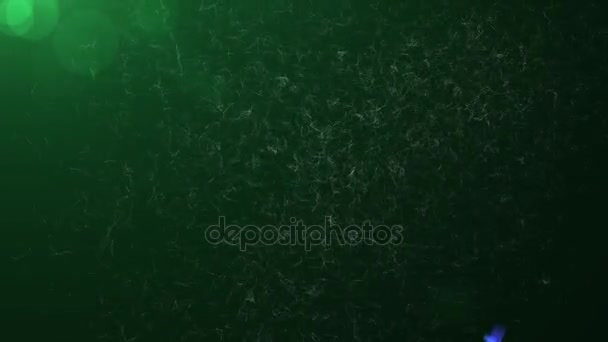 Fond vidéo Joyeux Noël et bonne année dans une version moderne et technologique. L'inscription est recueillie à partir de nombreux points et lignes disparates dans l'espace. En haut de l'écran vole par un 