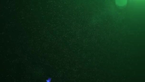 Fond vidéo Joyeux Noël et bonne année dans une version moderne et technologique. L'inscription est recueillie à partir de nombreux points et lignes disparates dans l'espace. En haut de l'écran vole par un 