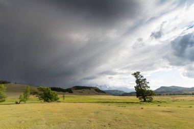 Ürkütücü bulutlar dağlarda ve ağaçlarda