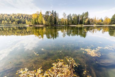 Altai dağlarındaki ayna gölü.