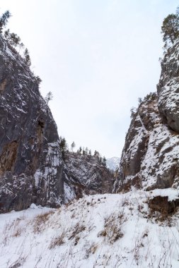 Dağlarda güzel taşlar ve kayalar