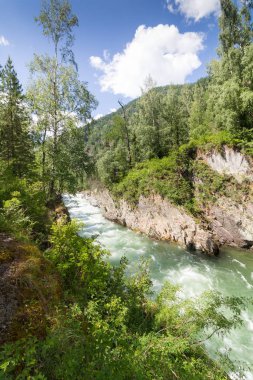 hızlı dağ nehri vadiye doğru akıyor.