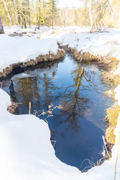 アルタイ山脈の鏡湖 — ストック写真