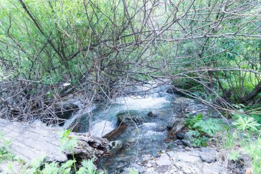 Eski şehirlerin parklarında güzel manzaralar