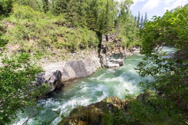 hızlı dağ nehri vadiye doğru akıyor.