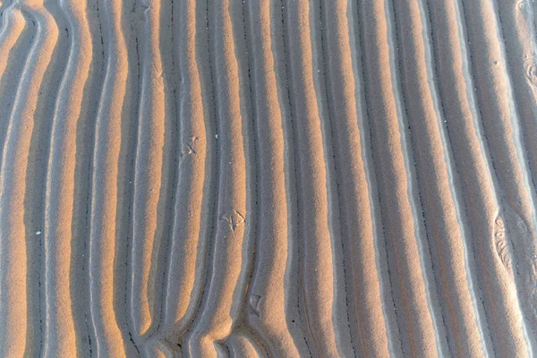 funny patterns on the sea sand