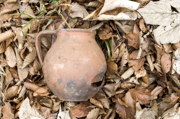 Vecchia giara rotta in foglie di autunno asciutte — Foto Stock