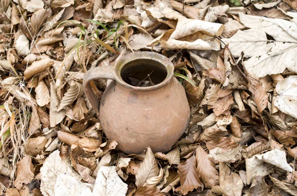 Viejo frasco roto en hojas secas de otoño —  Fotos de Stock