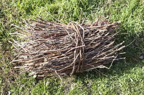 Armful of twigs on grass — Stock Photo, Image