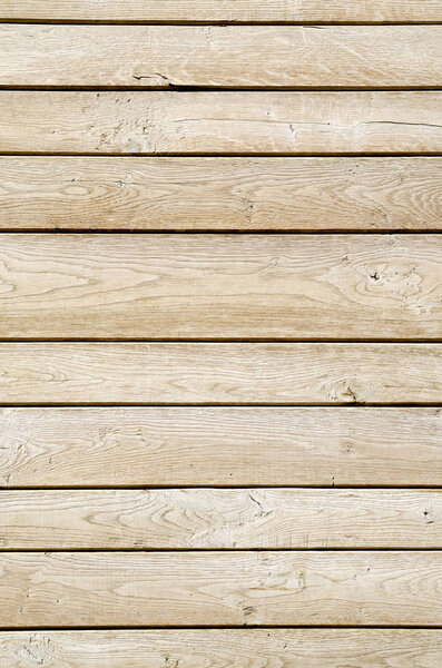 Light wood wall closeup 