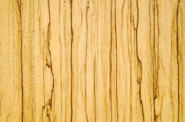 Lamine parke pano portre 