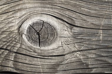 Düğüm ile eski yönetim kurulu 