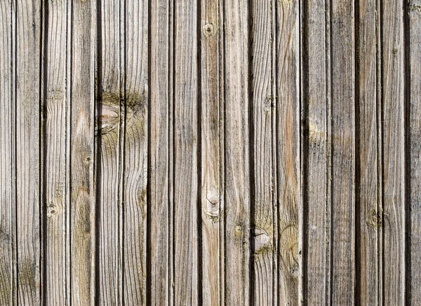 Old light lacquered wood wall closeup — Stock Photo, Image