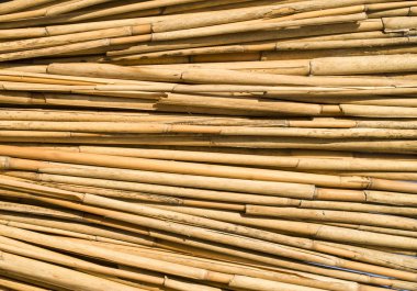 Yeni baston duvar portre 