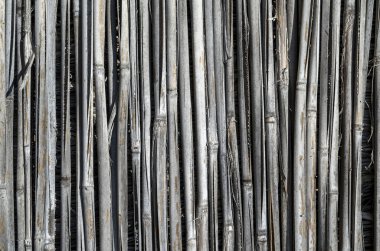 Eski kamışı duvar portre