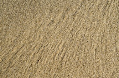 Bir dalga sonra kum izlemeler 