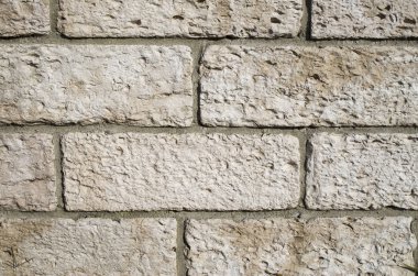 Yeni taş duvar portre  