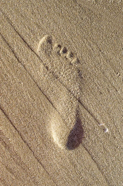 Imprint barefoot child feet in the sand