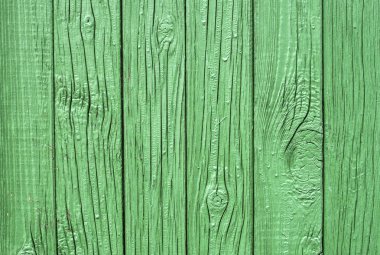 Yeşil ahşap çit portre 